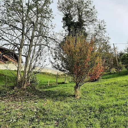 מאיירהופן Mountain Chalet מראה חיצוני תמונה