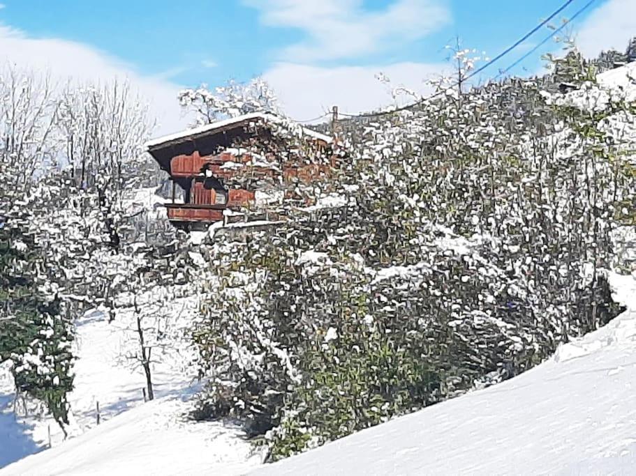 מאיירהופן Mountain Chalet מראה חיצוני תמונה