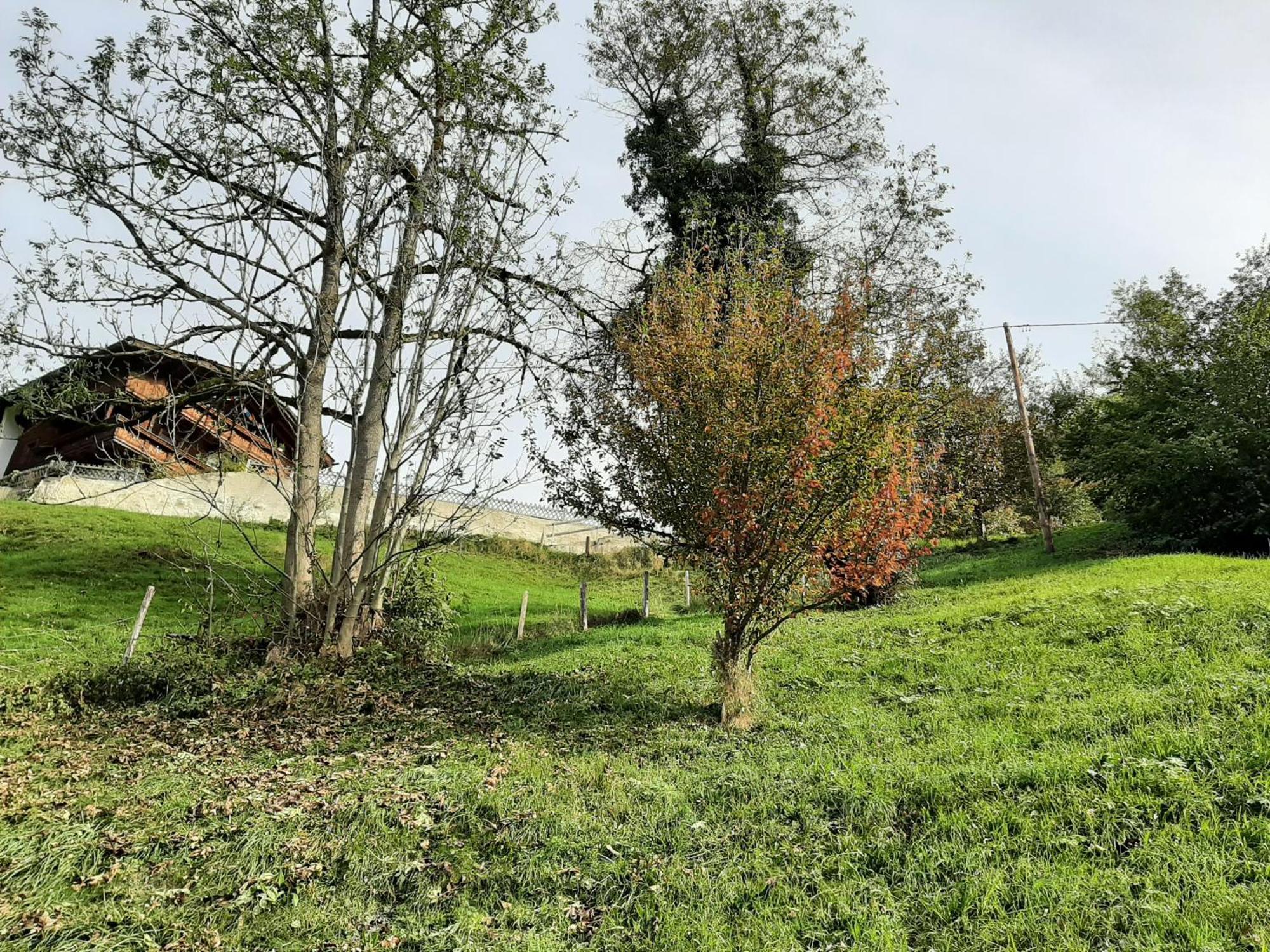 מאיירהופן Mountain Chalet מראה חיצוני תמונה